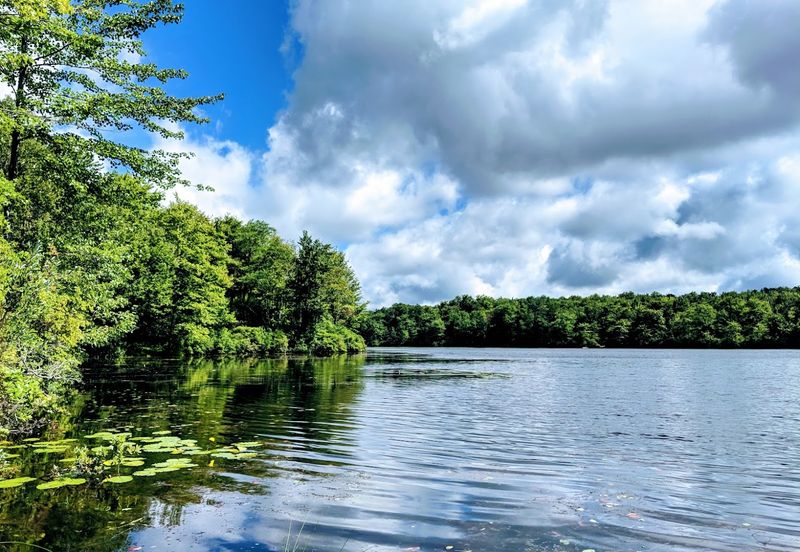 Tobyhanna State Park