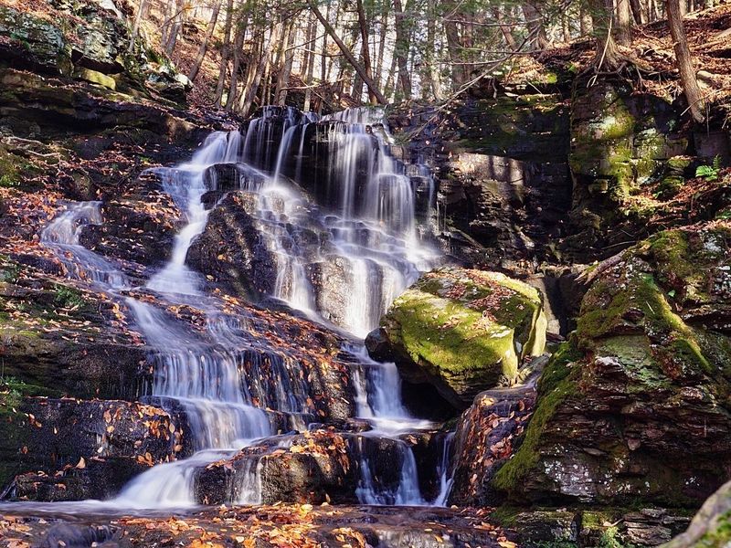 Prompton State Park