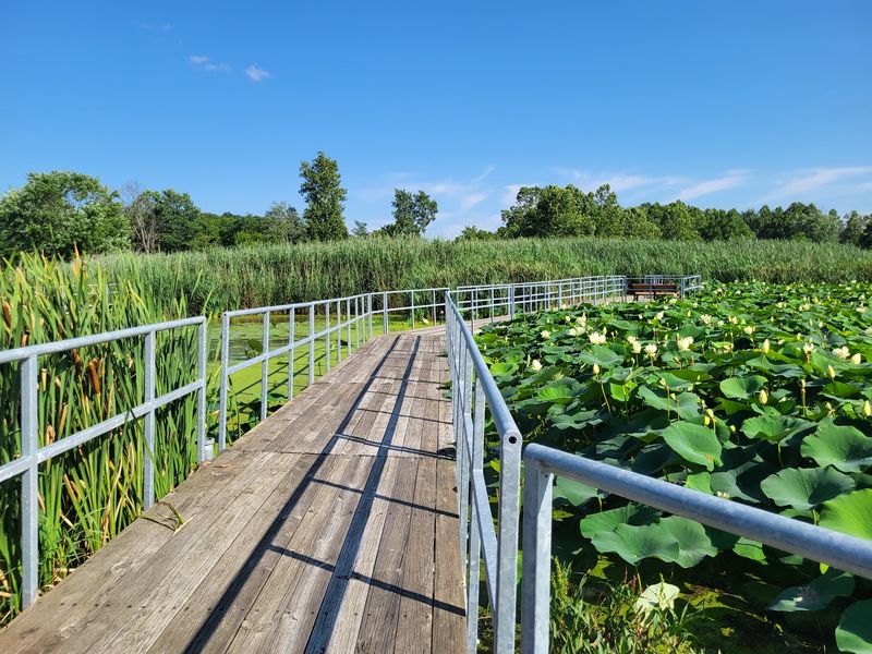 Protect Children, Wildlife, and Yourself From Ticks