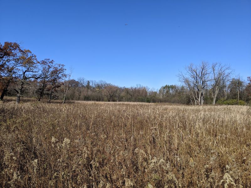 Protect the fen by staying on the designated route