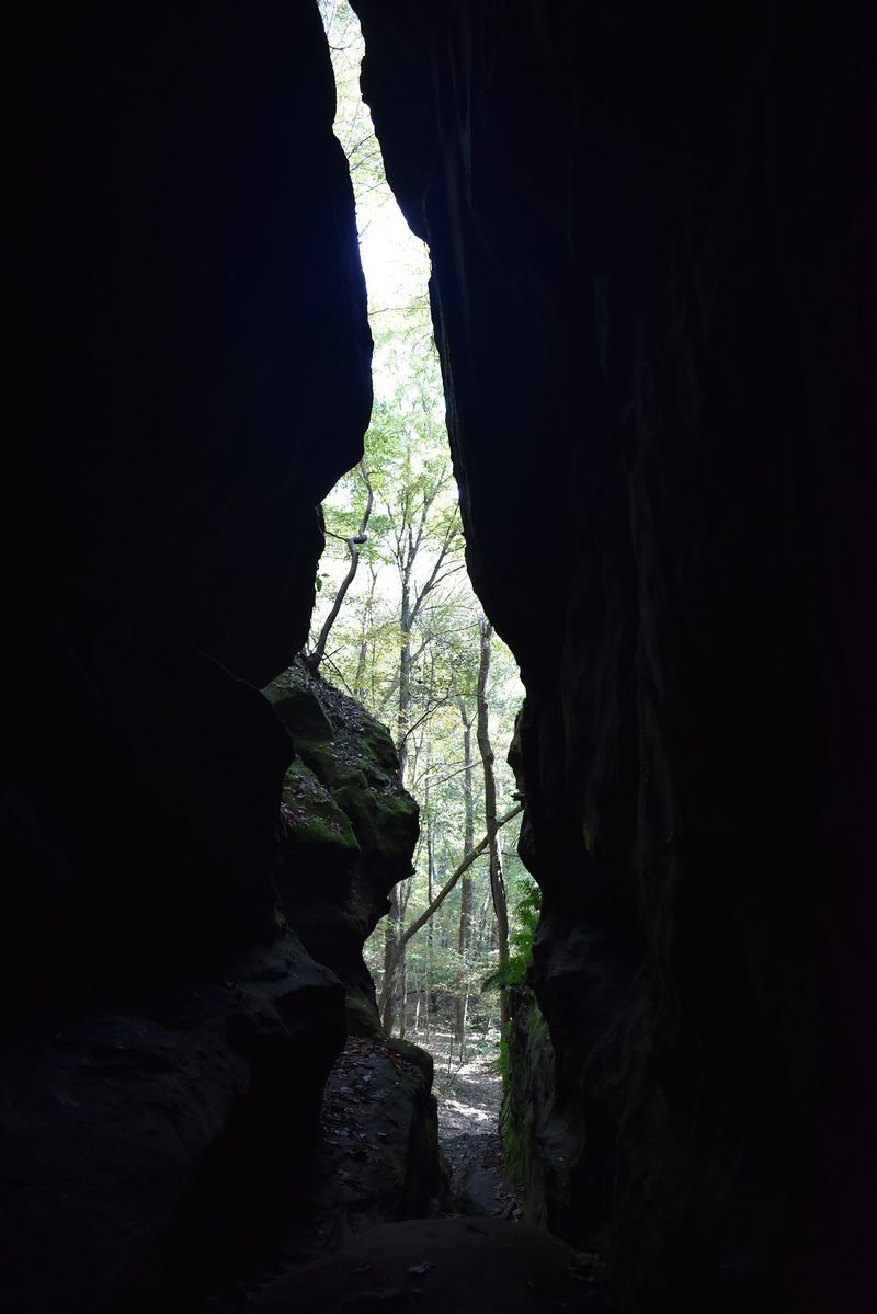 Protect the habitat while you hike