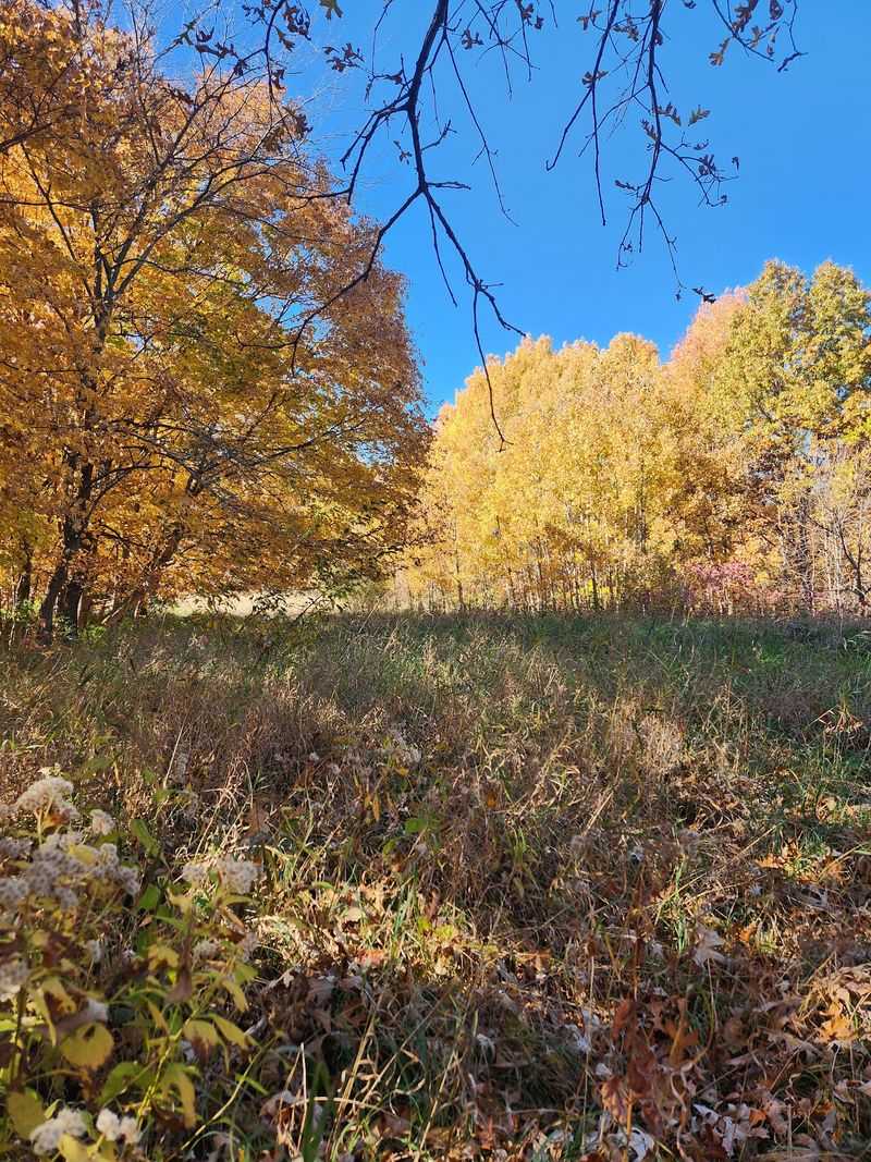 Protected forest and ravines shape the preserve