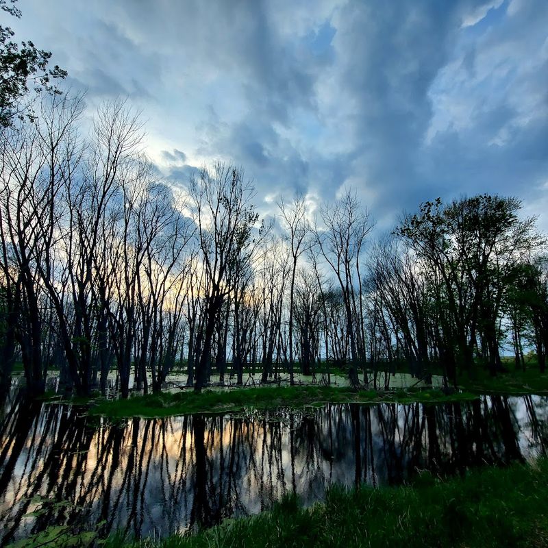 Shiawassee National Wildlife Refuge Ferguson Bayou Trail