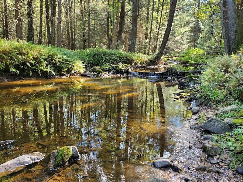 McCalls Dam State Park, Centre County, Pennsylvania