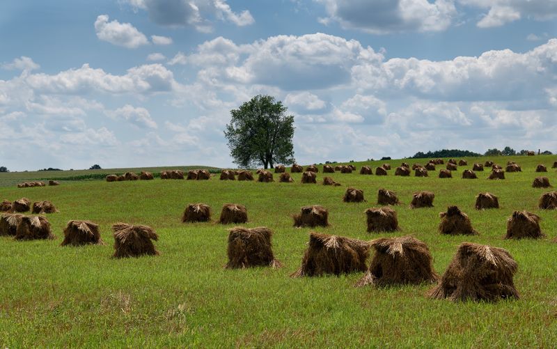 Proximity To Berlin And The Amish Country Experience Proximity To Berlin And The Amish Country Experience
