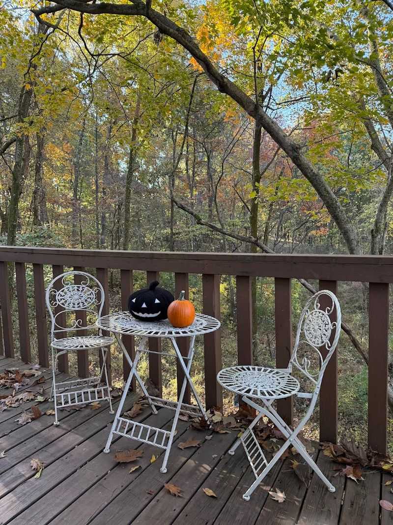 Pet-Friendly Policies