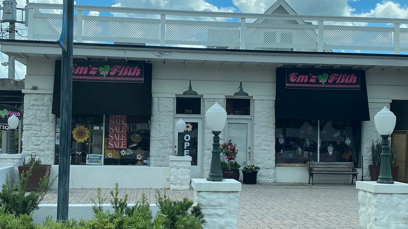Proximity To Mount Dora's Downtown And Attractions