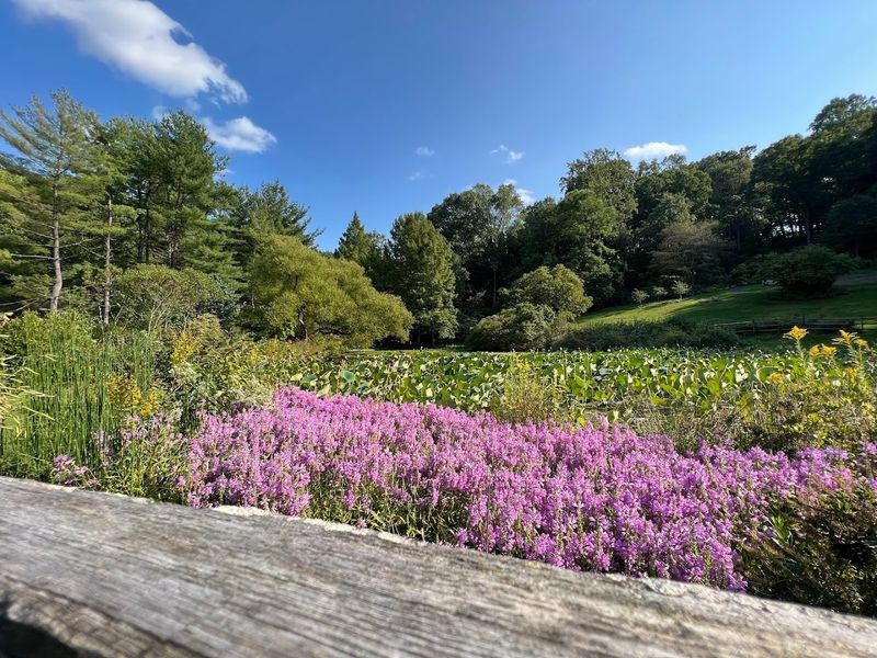 Proximity To Valley Forge Makes It A Full-Day Trip