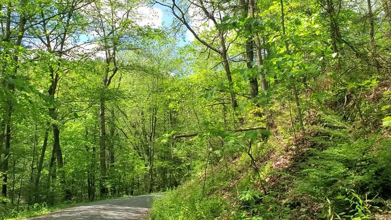 Practical Tips for Planning Your Visit