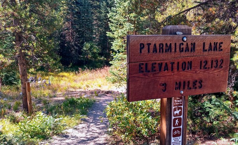 Ptarmigan Lake Trail, Near Buena Vista Ptarmigan Lake Trail, Near Buena Vista