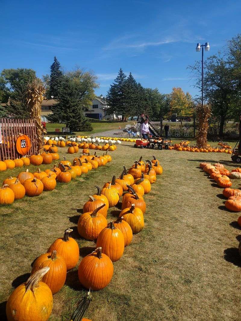 Puckerville Farms, Lemont, IL