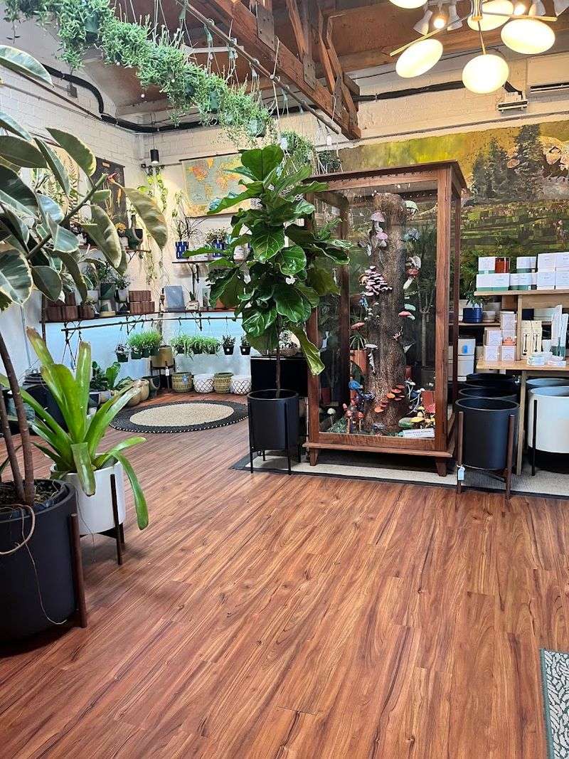 Pueblo Plant Store: The Perfect Host