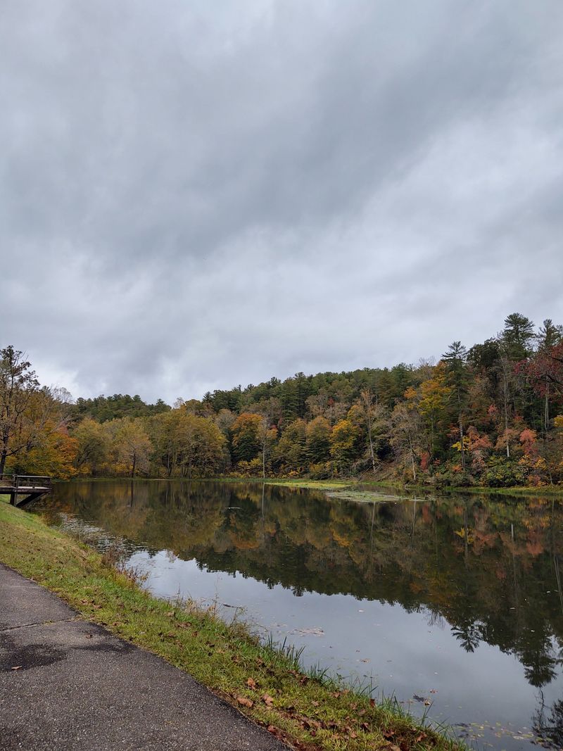 Trace History At Moses H. Cone Memorial Park