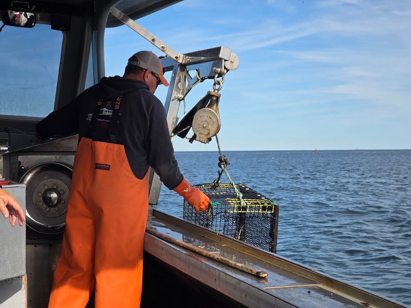 Pulling Traps Like A Local