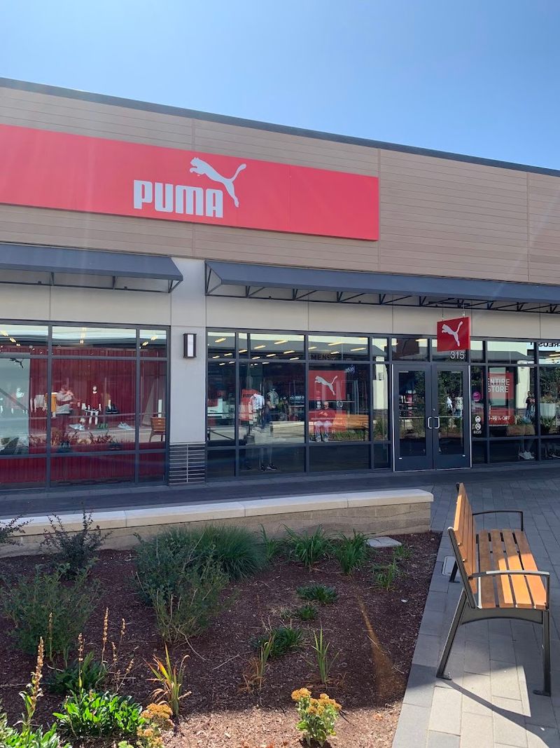Puma