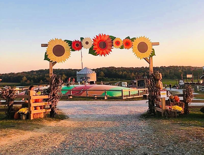 Pumpkin Displays Make The Entrance Feel Like Fall
