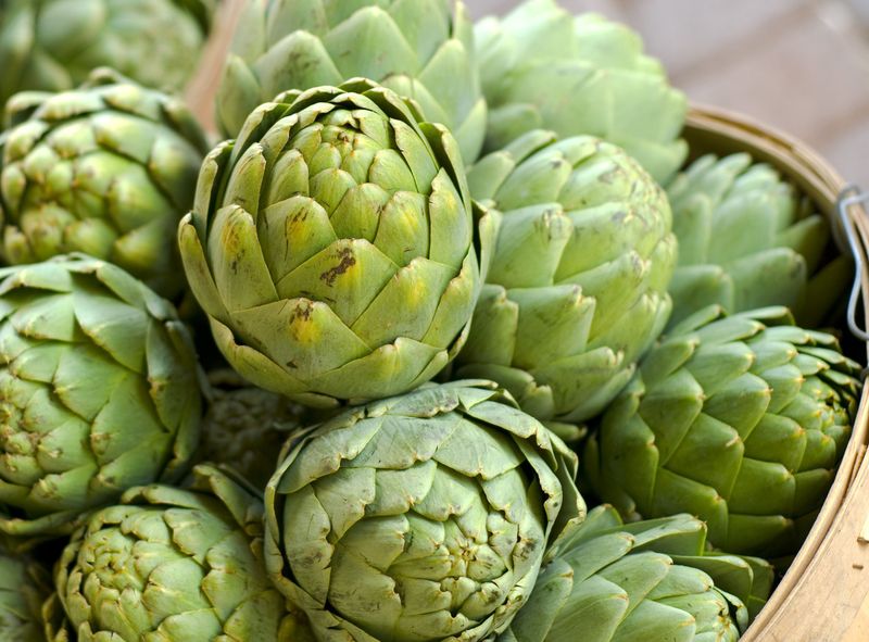 Artichokes: Thistle-Like Treasures