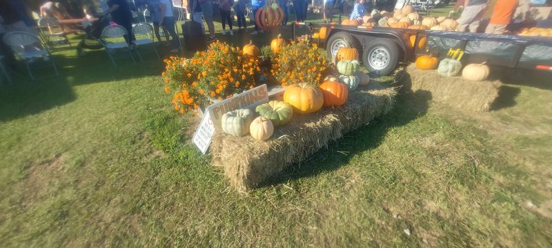 Pumpkin Season Takes Over