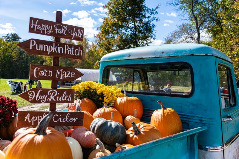 Pumpkin Valley Farm, Dayton, Maine