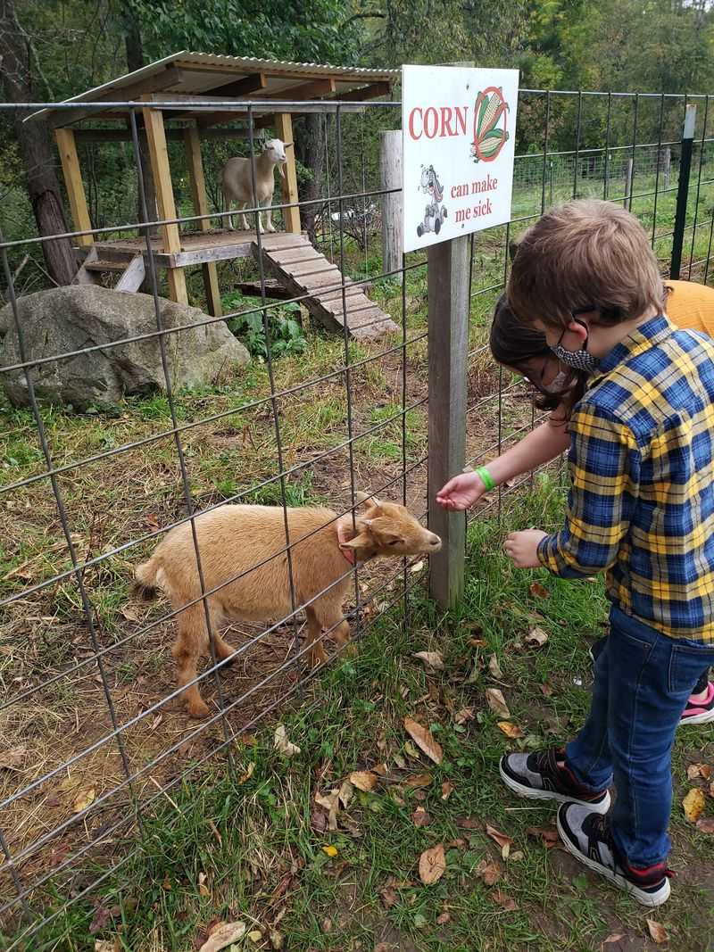 Pumpkin Valley Farm, Dayton