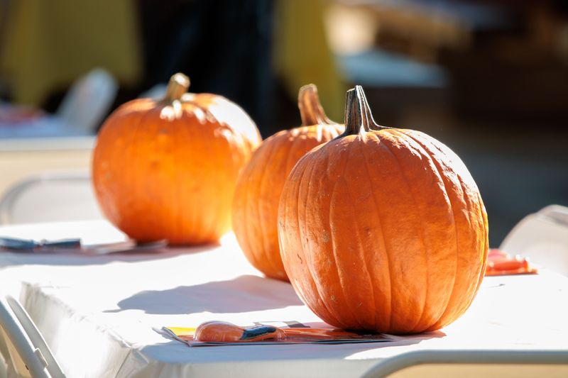 Pumpkins And Decorated Campsites Pumpkins And Decorated Campsites