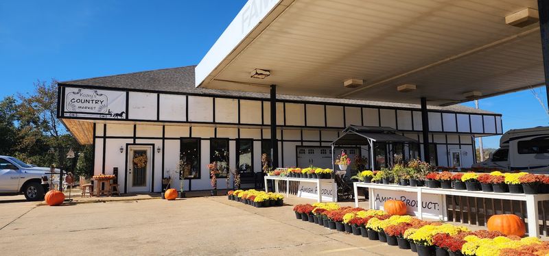 Pumpkins Bring On The Fall Feel