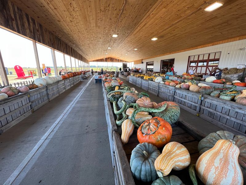 Pumpkins, Gourds, And Photo Moments Pumpkins, Gourds, And Photo Moments