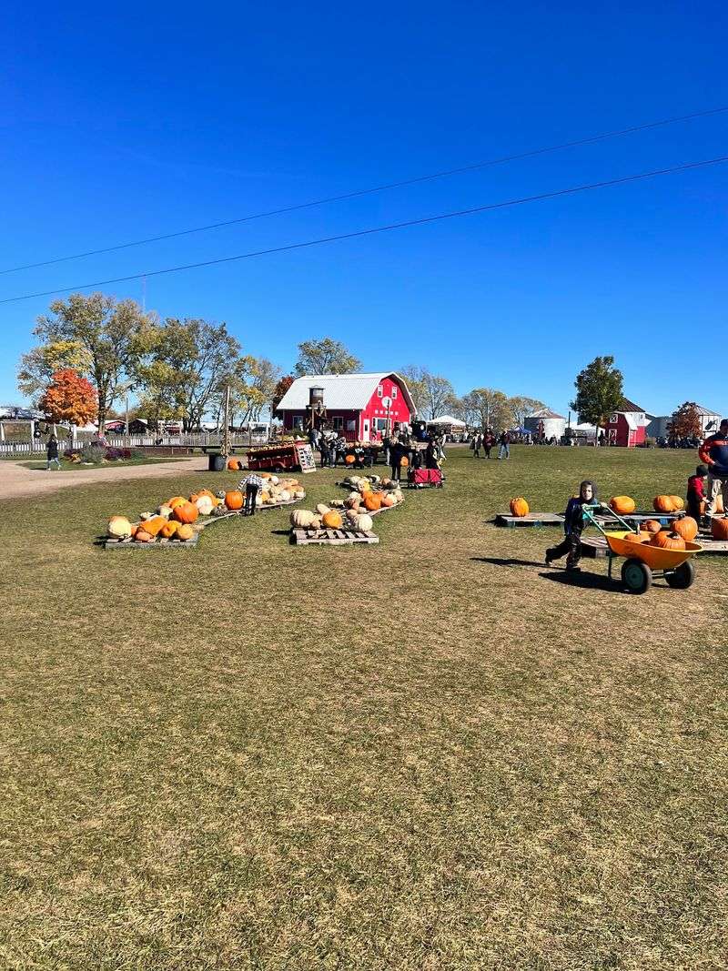 Pumpkins, Holiday Lights, And A Freshly Renovated Lakefront Park