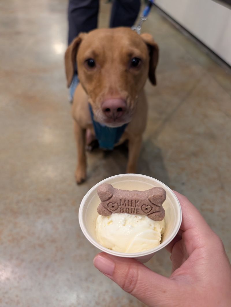 Eco-Friendly Practices That Show They Care