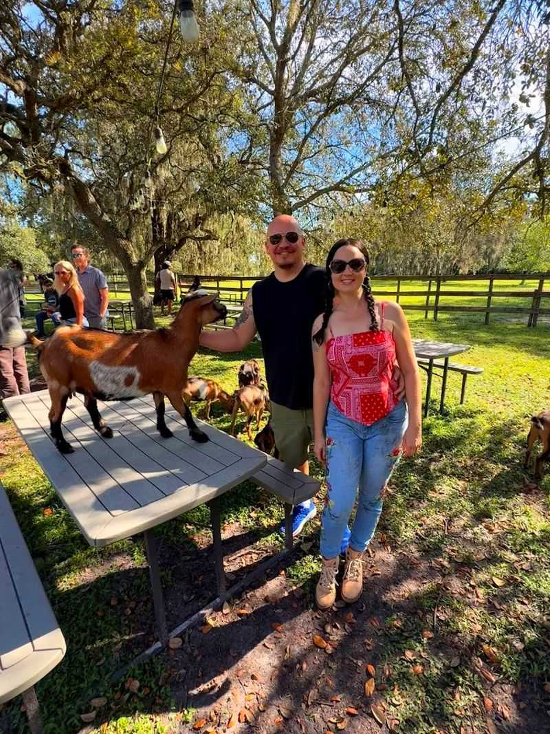 The Farm's Beautiful Setting In Central Florida