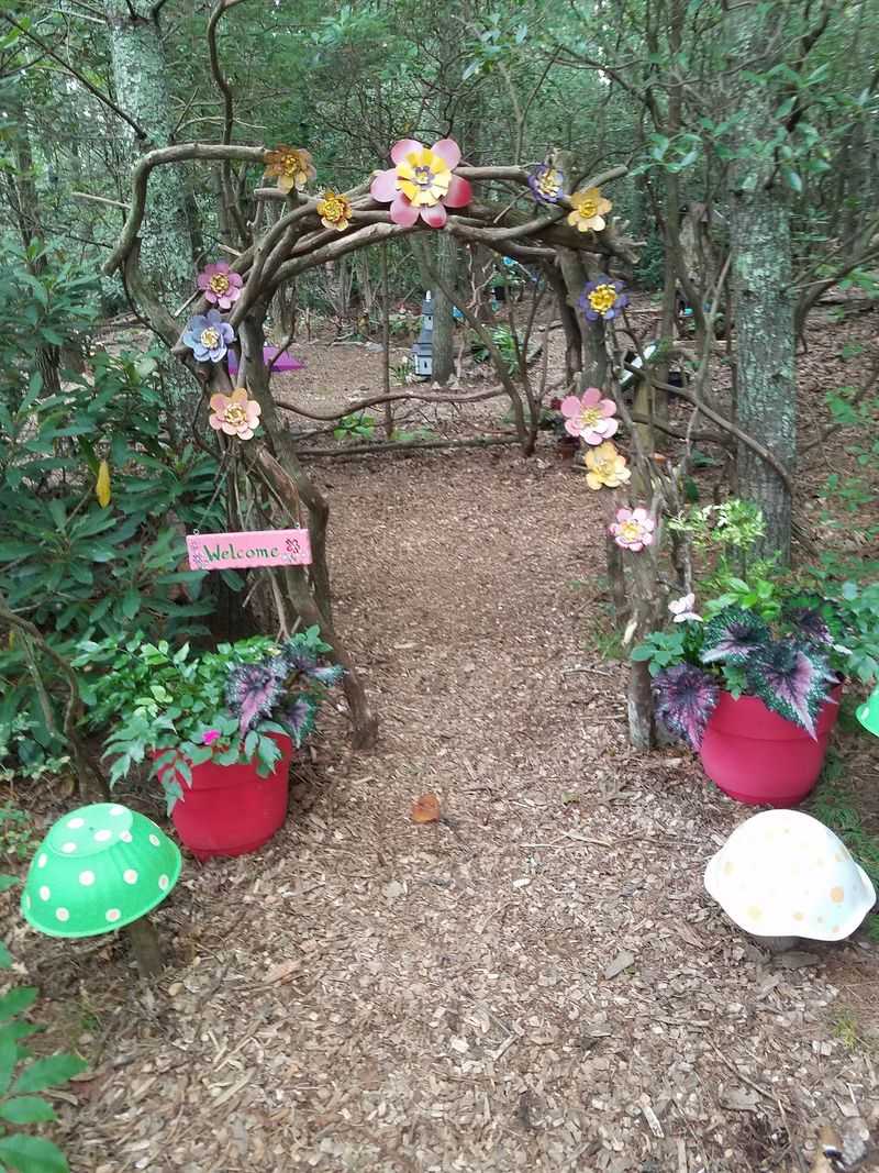 Pure Magic Hidden Among The Trees