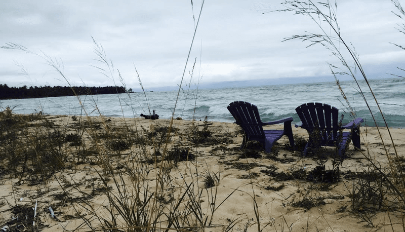 Purple Martin Lakeside Inn And Bird Sanctuary On Lake Huron