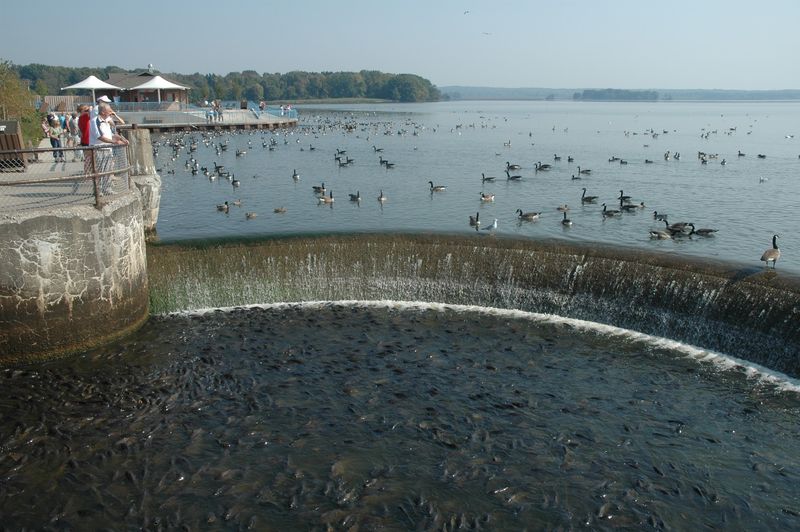 Pymatuning Reservoir, Crawford County