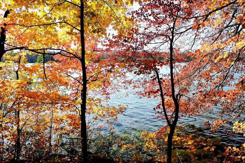 Kiser Lake State Park Campground, Conover, OH