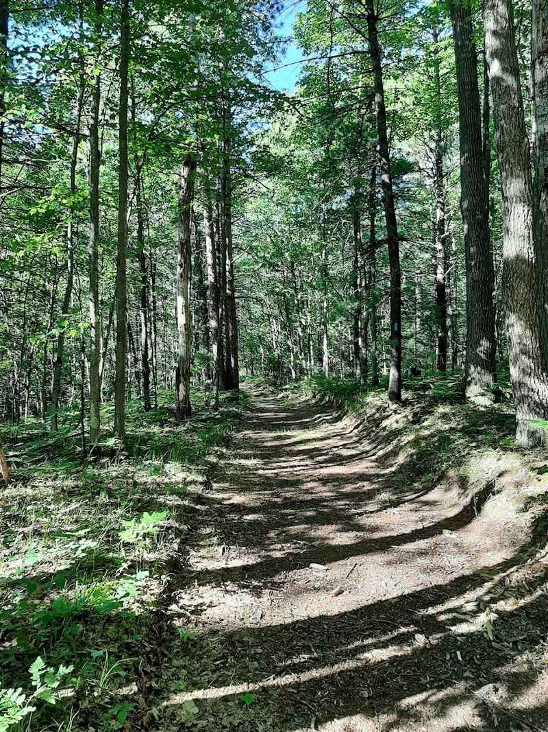 Sand Lakes Quiet Area, Williamsburg