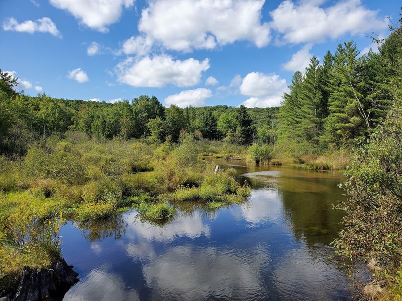 Jordan Valley Pathway Loop (Jordan River Valley, Antrim County area)