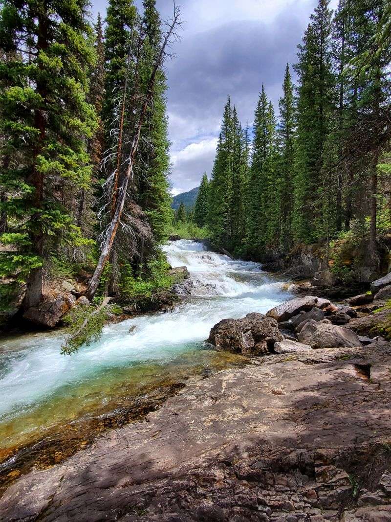 Crystal River and Mill Site Park