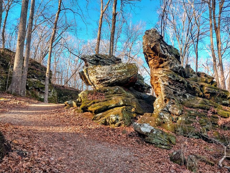 Rock Climbing Paradise for Young Adventurers