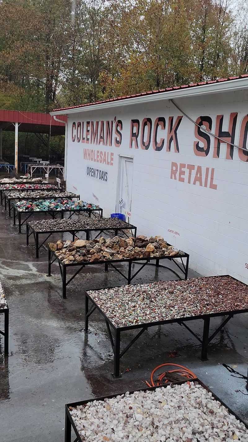 Quartz Crystals Waiting Just Below The Surface