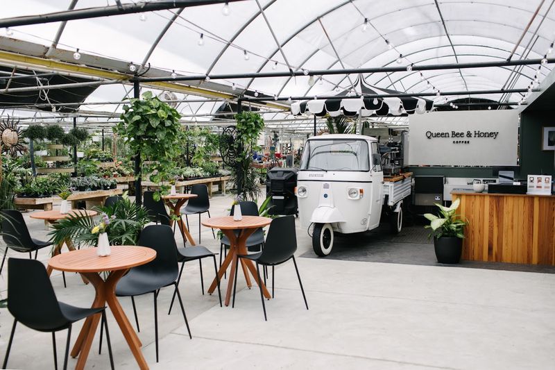 Queen Bee & Honey Coffee at Hoen's Garden Center, Holland