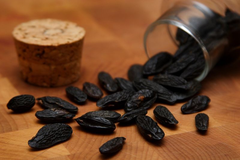 Tonka Beans: The Aromatic Outlaw