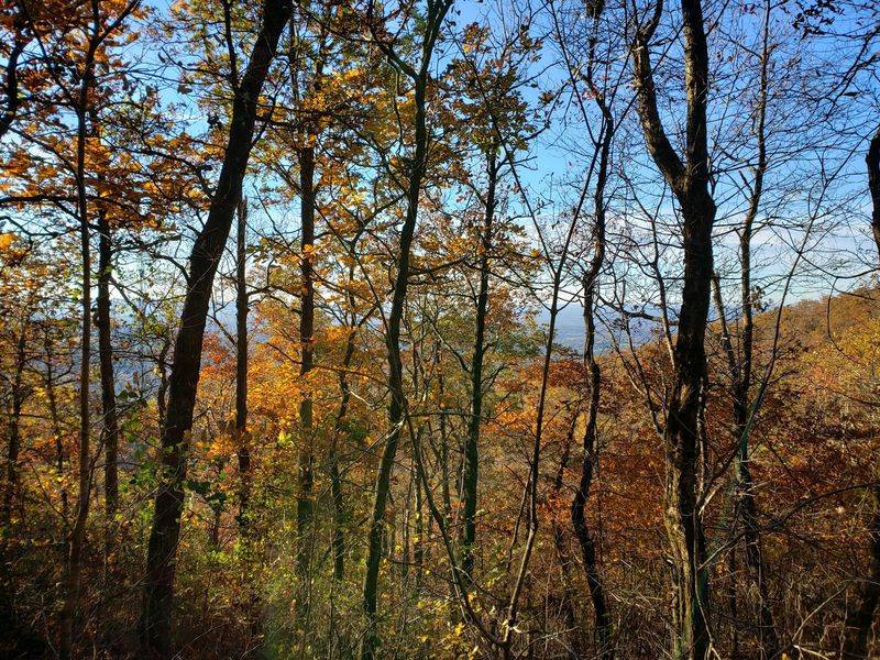 Queen Wilhelmina State Park