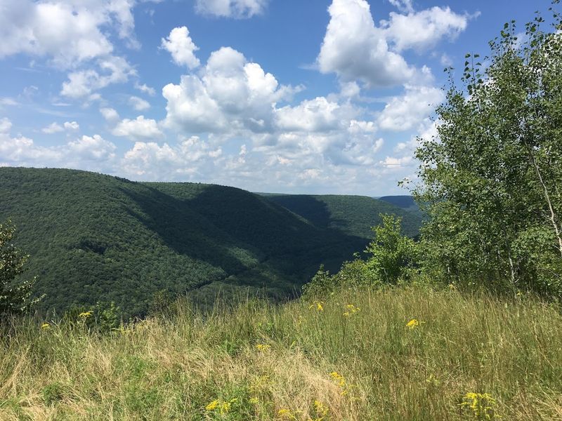 Morrison Hiking Trail, Tiadaghton State Forest, Pennsylvania