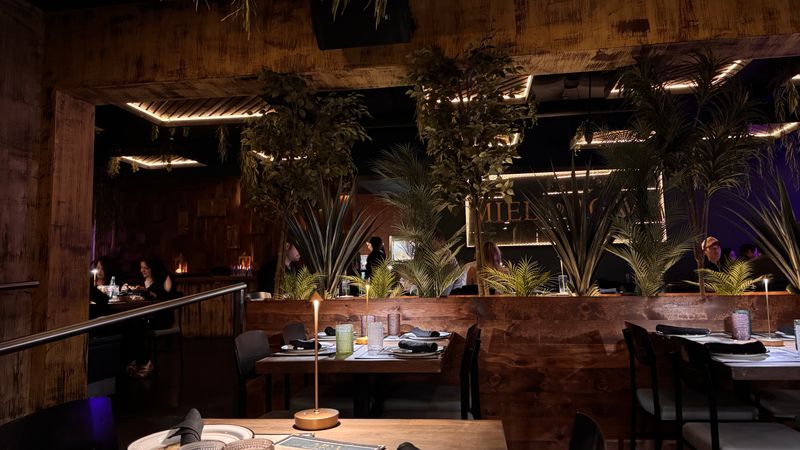 Aguachiles That Push Flavor Boundaries