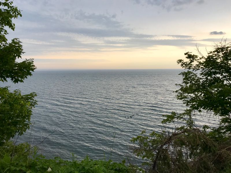 Fruit Bowl, Shoreline Palette