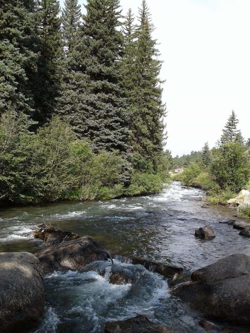 Send This To The Group Chat