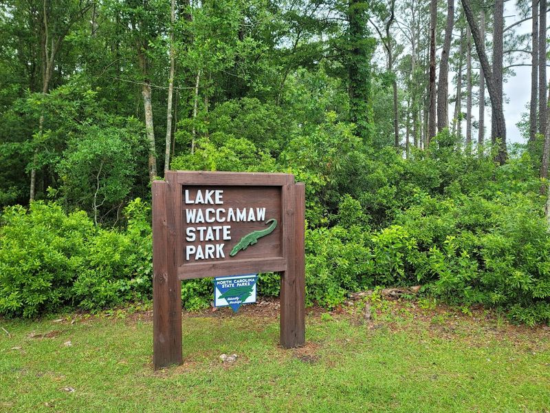 The Lake Itself Will Make You Question Every Beach Vacation 