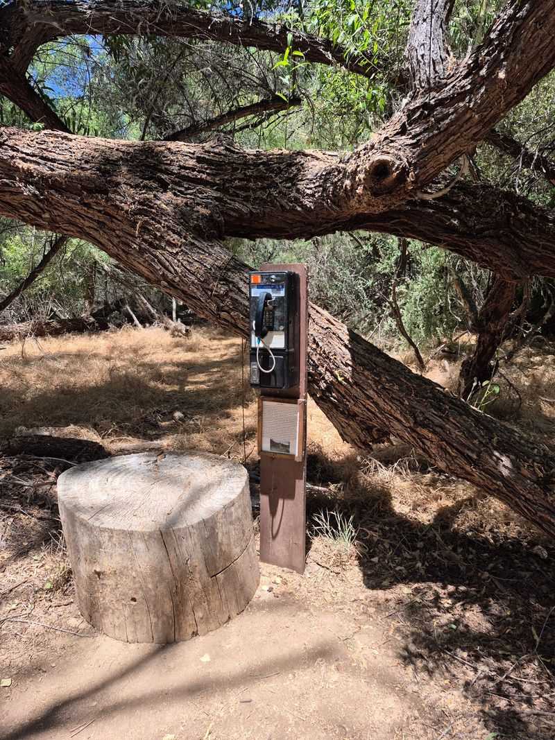 Quiet Benches, Slow Mornings, And A Wind Phone