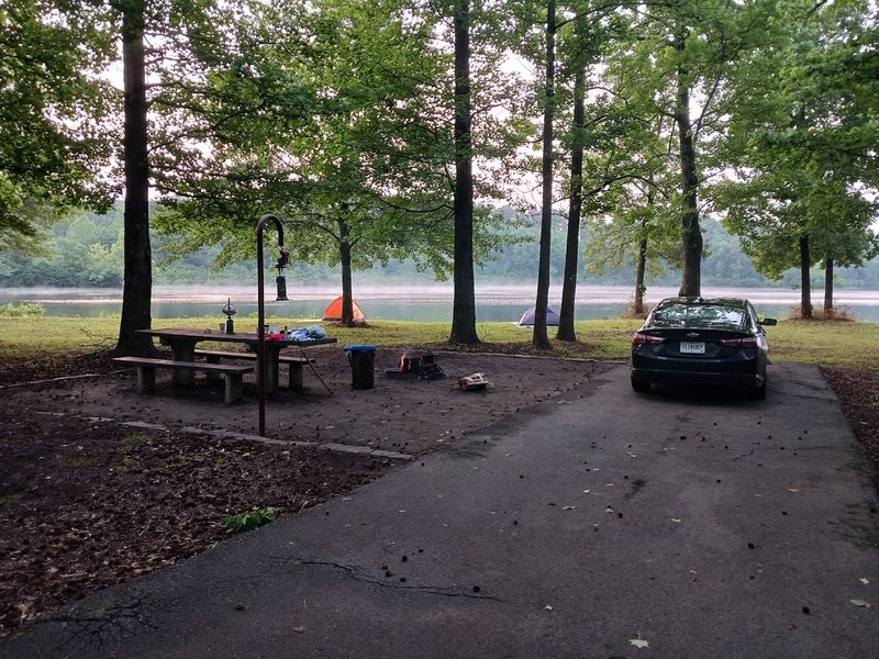 Quiet Campsites Beneath The Ozark Canopy