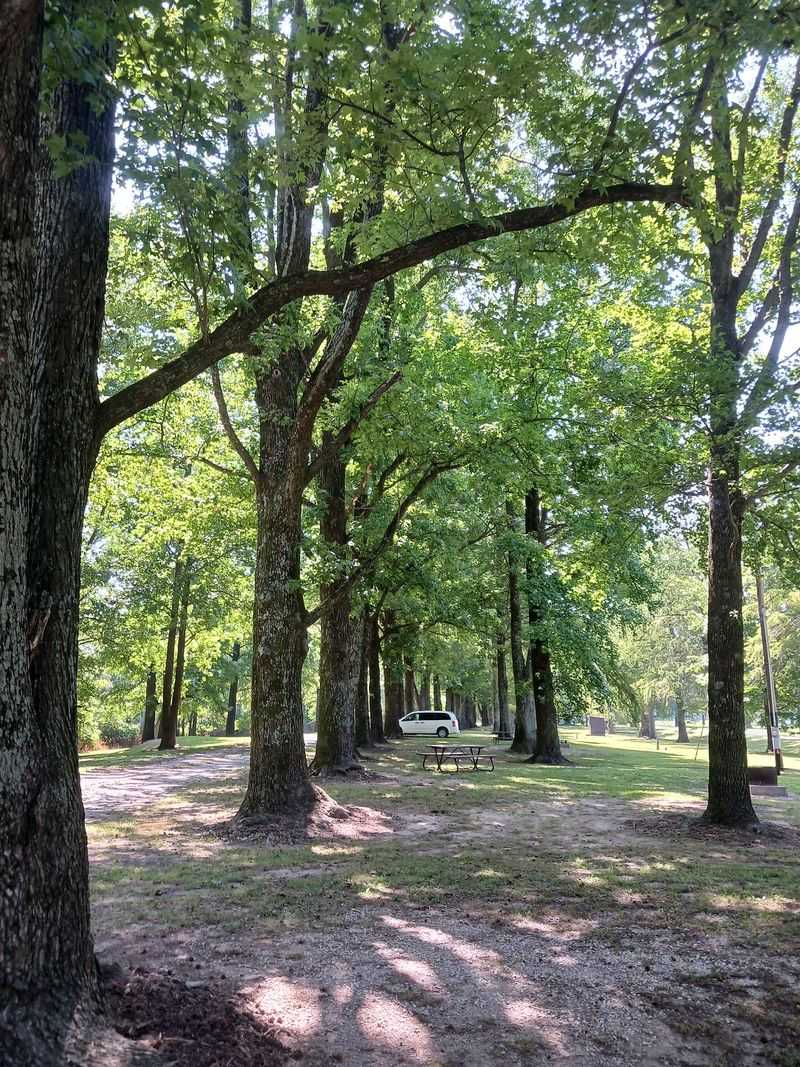 Quiet Campsites Spaced For Breathing Room Quiet Campsites Spaced For Breathing Room